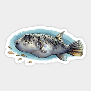 Giant puffer SCUBA Sticker